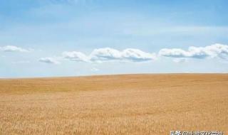 只要锄头舞得好 只要锄头舞得好