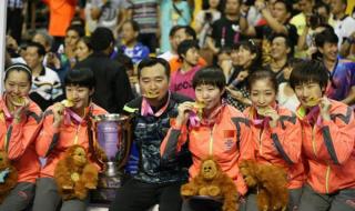 世乒赛女团决赛 世乒赛女团决赛