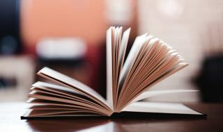 深圳航空有限公司