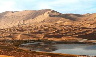 骆驼有几层眼睫毛? 骆驼有几层眼睫毛?