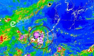 5号台风最新消息2020 5号台风最新消息2020