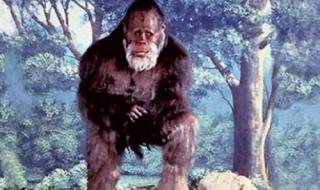 天蛾人真的存在吗 天蛾人真的存在吗