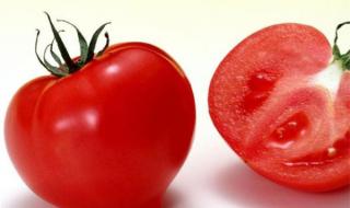 西红柿是谁 西红柿是谁