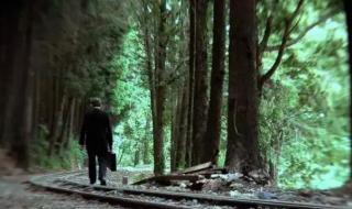 逍遥天地间 逍遥天地间