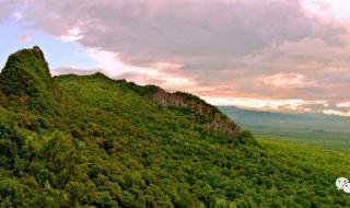 鸡头鸡尾指什么生肖 鸡头鸡尾指什么生肖