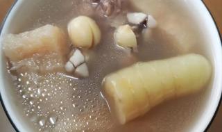 炖汤的做法 炖汤的做法