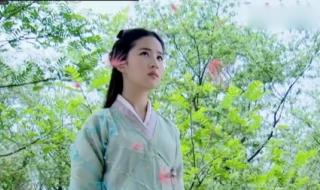 你在我心里下了一场雨 你在我心里下了一场雨